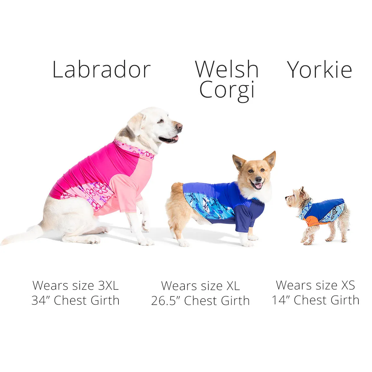 Dog Sun Shirt - Honu (Made in USA)