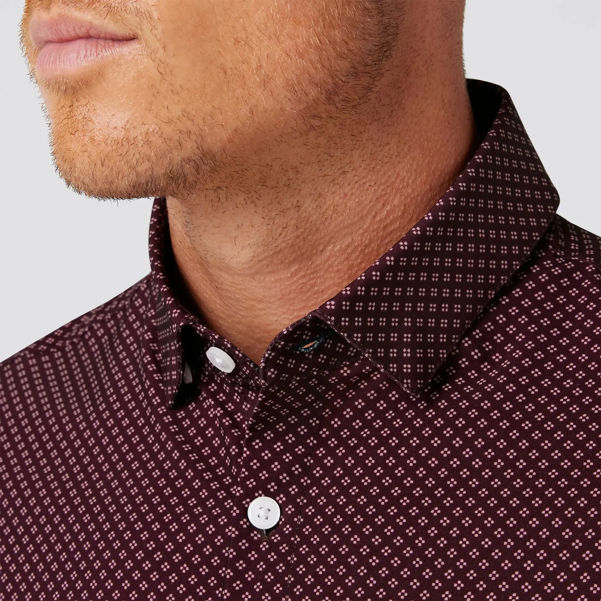 Leeward No Tuck Dress Shirt - Wine
