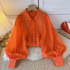 Vintage Long Sleeve Crop Top Blouse