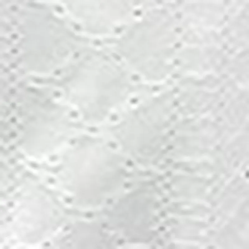 Women's V Neck Lace Mini Dresses Casual Summer Ruffle Sleeve Crochet Sundresses